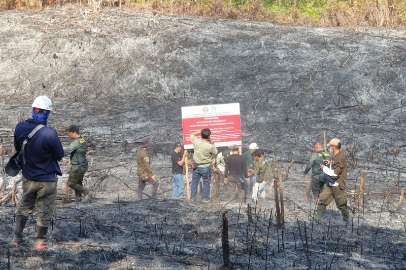 Kemenhut Segel dan Selidiki 10 Perusahaan terkait Karhutla