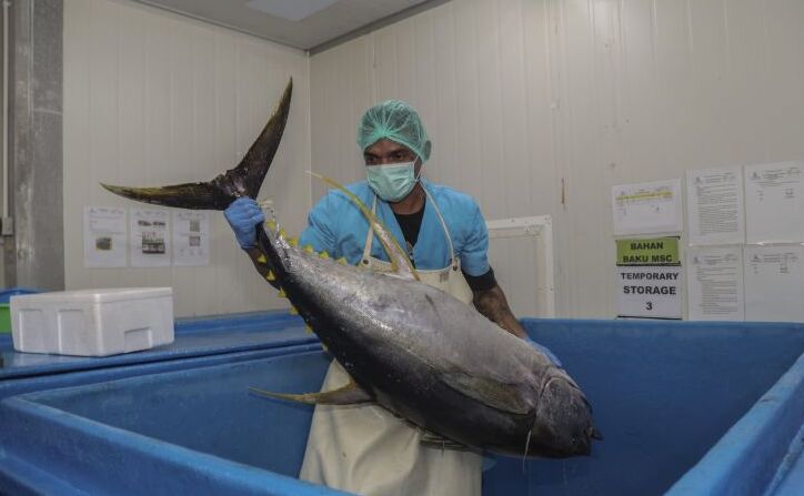 Tingkatkan Daya Saing, BPJPH: Produk Perikanan Perlu Sertifikasi Halal