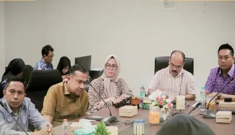 DPRD Banjarmasin Tanggapi Pengadaan Puluhan Mobil Listrik