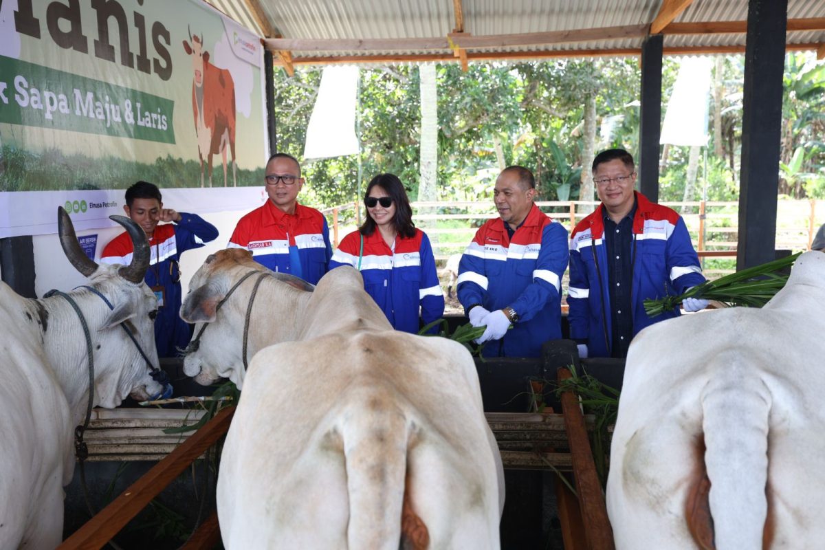 Menyalakan Harapan dari Desa: Ketika Elnusa Petrofin Menjawab Ketahanan Pangan dan Energi